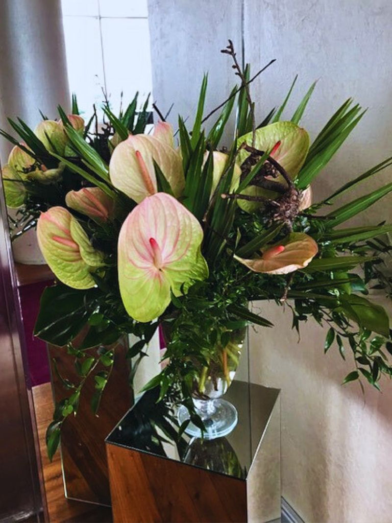 Anthurium Vase