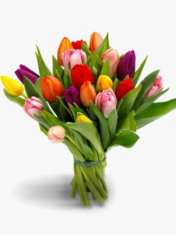 20 Mixed Tulips