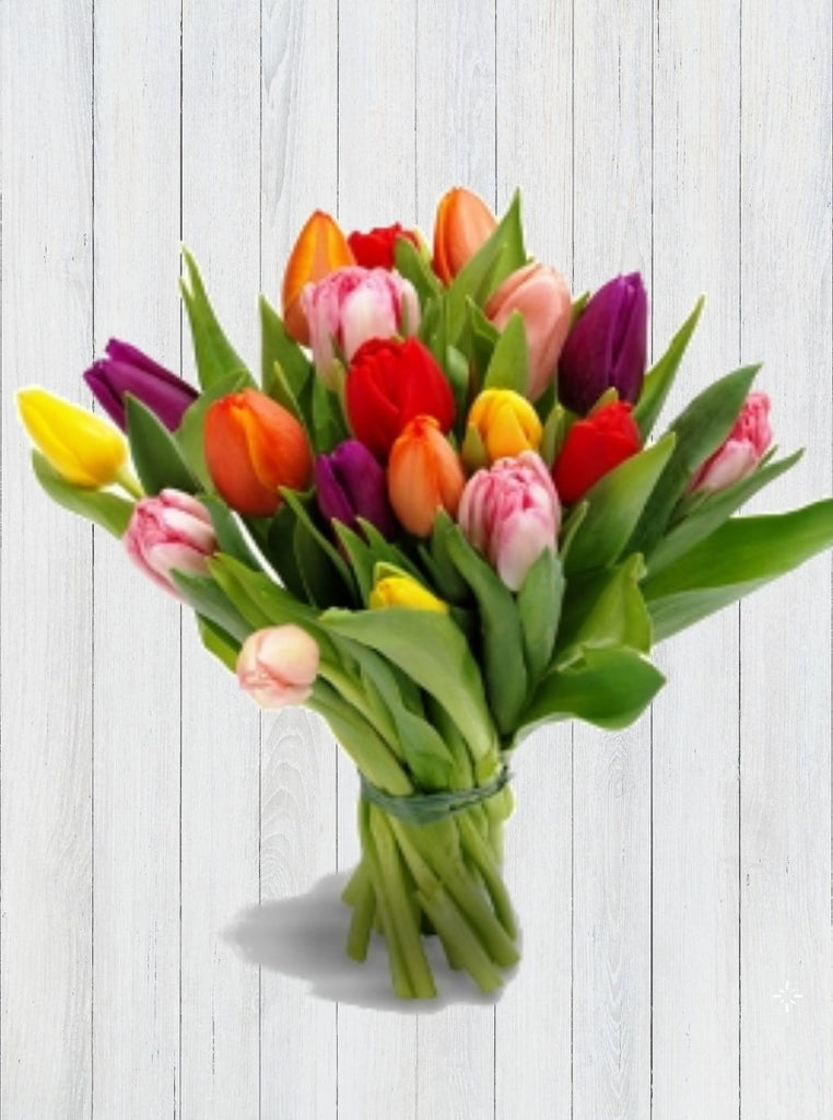 20 Mixed Tulips